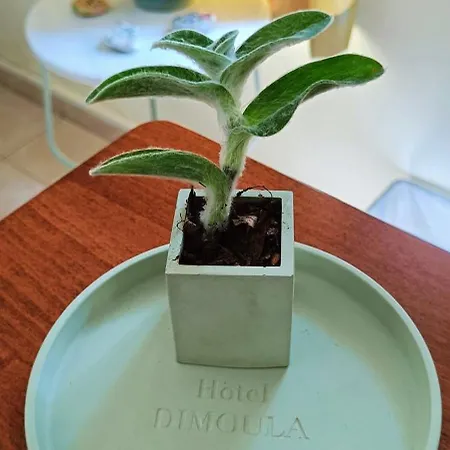 Dimoula 2*